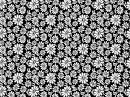 Printed Wafer Paper - Black and White Flowers